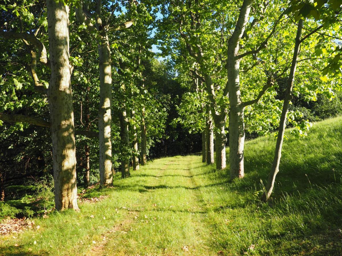 La Souveraine Saint-Genis-Laval Dış mekan fotoğraf